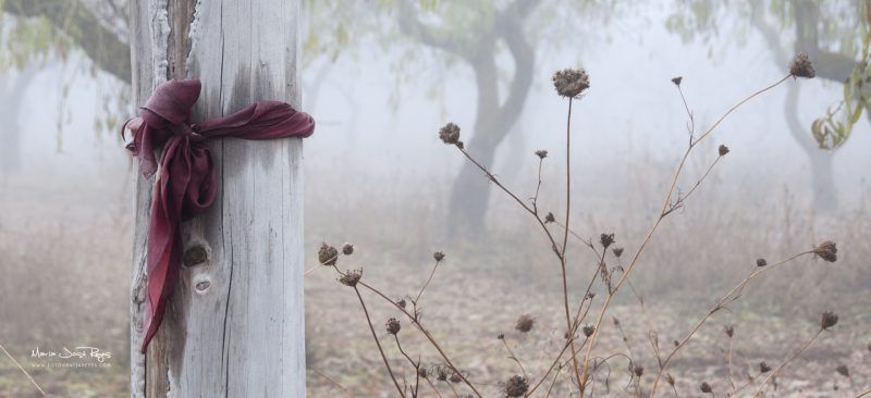 Fotografia de paisaje