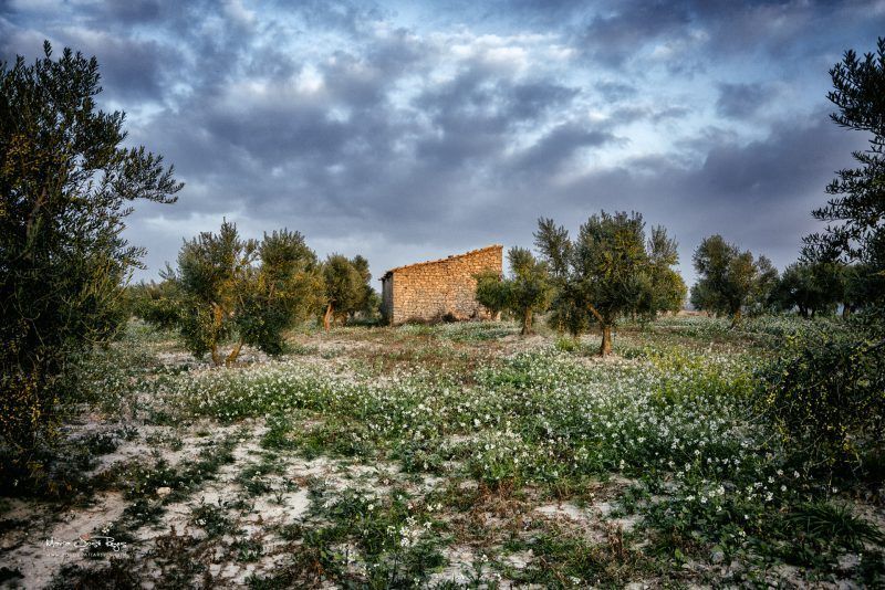 Fotografia de paisaje