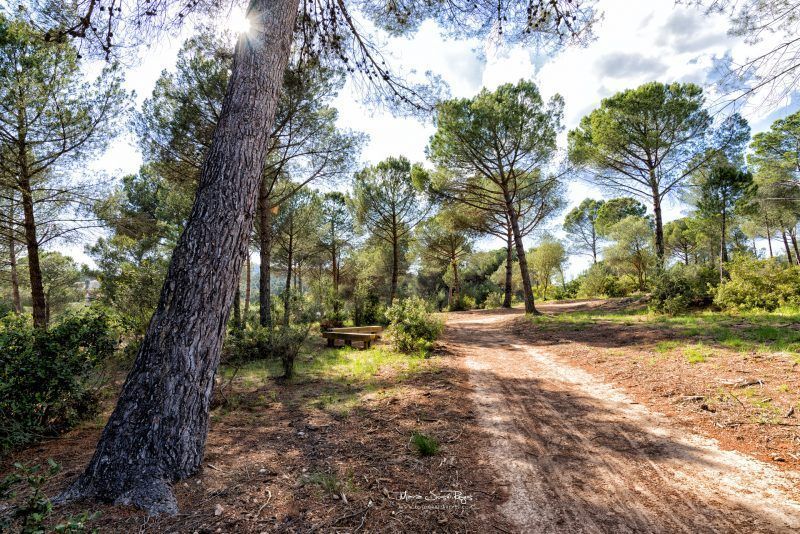 Fotografia de paisaje