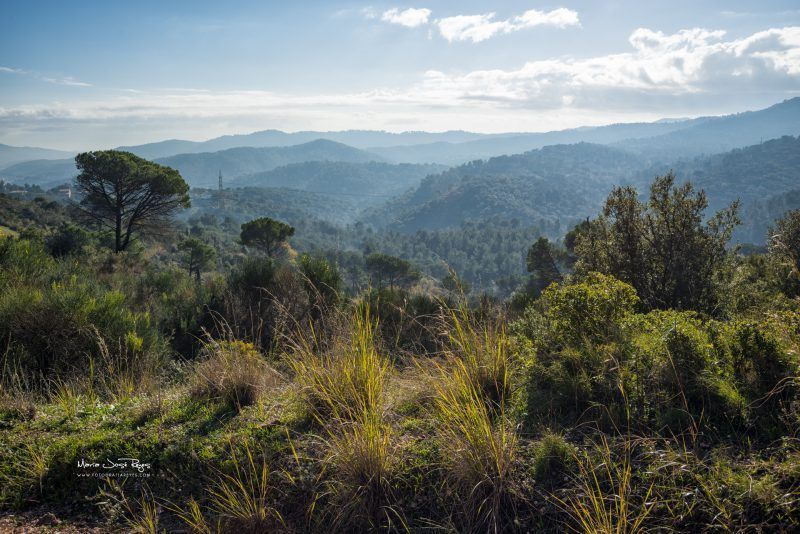 Fotografia de paisaje