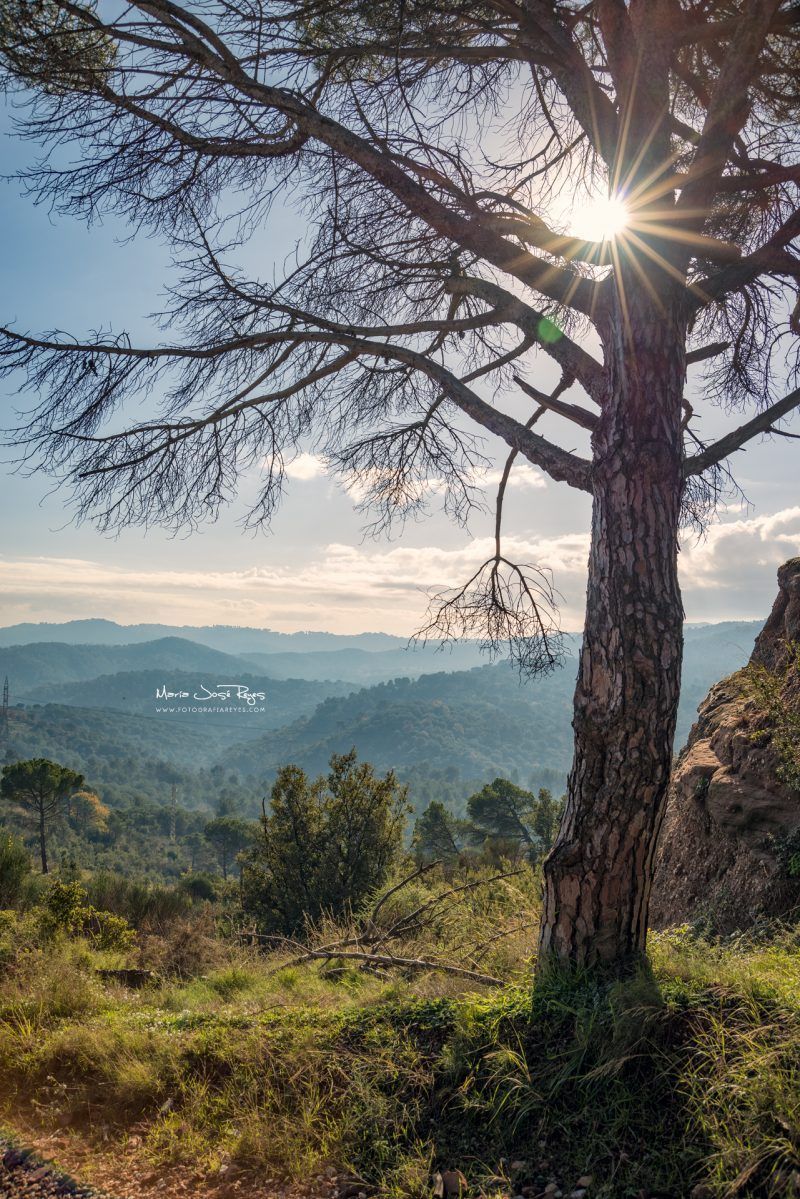 Fotografia de paisaje