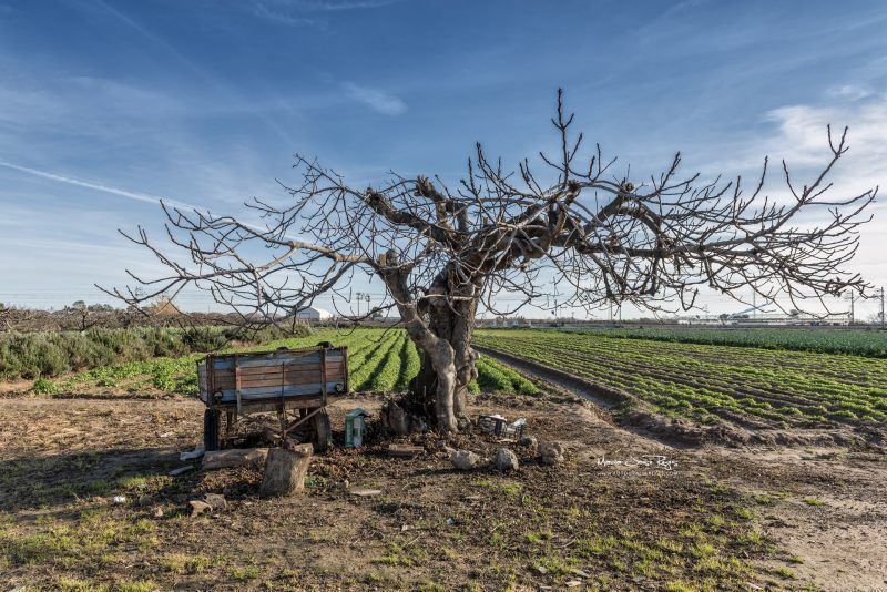 Fotografia de paisaje