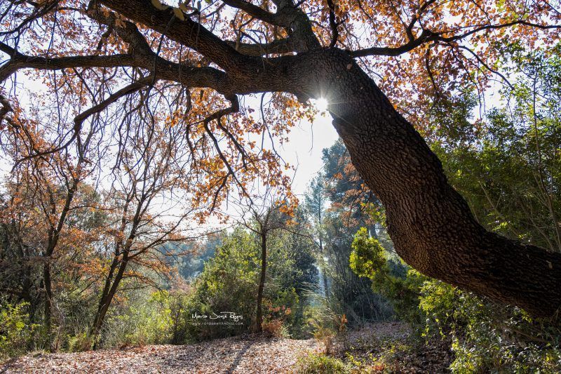 Fotografia de paisaje