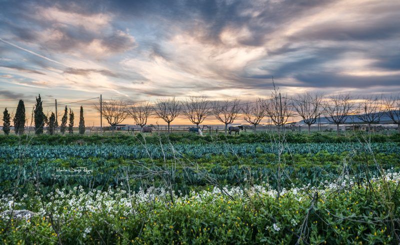 Fotografia de paisaje
