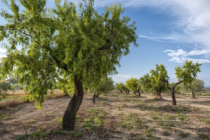 Fotografia de paisaje