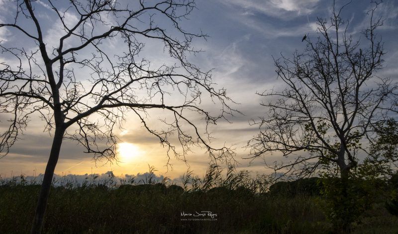 Fotografia de paisaje