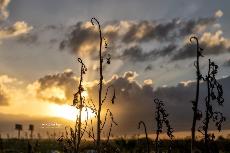 Fotografia de paisaje