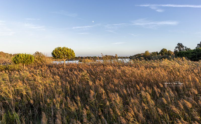 Fotografia de paisaje