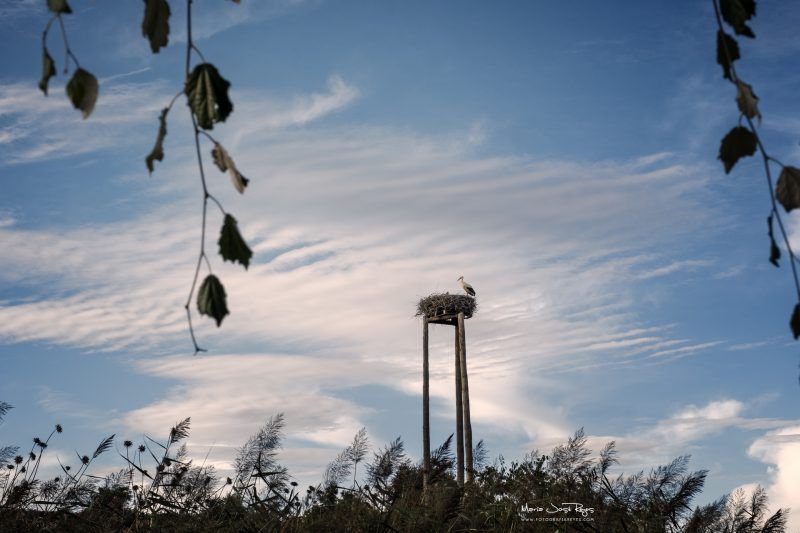 Fotografia de paisaje