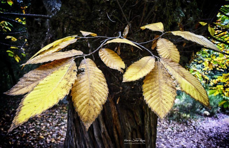 Fotografia de paisaje
