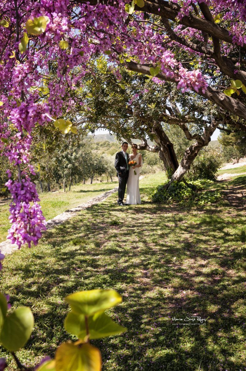 Fotografia de Bodas